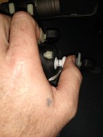 thumb1.jpg