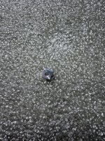 IMG_4861.jpeg
